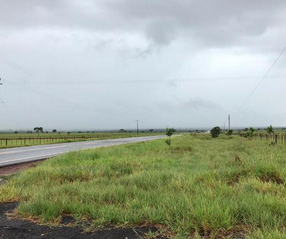 Oportunidade de Fazenda com 128 alqueires em Bataguassu Ms de frente p asfalto - Foto 4