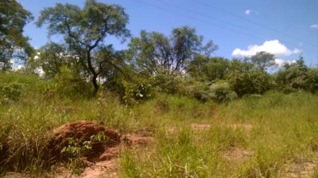 Urgente Fazenda a baixo valor de mercado (Angatuba SP) - Foto 3