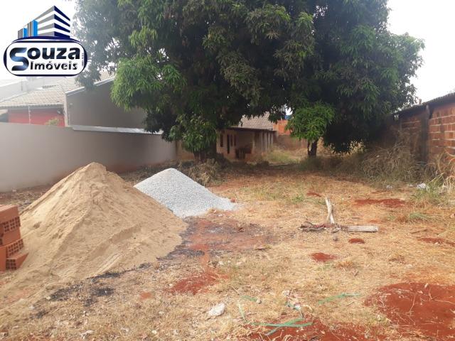 Lote na avenida comercial setor Jardim Marista Trindade - Foto 7
