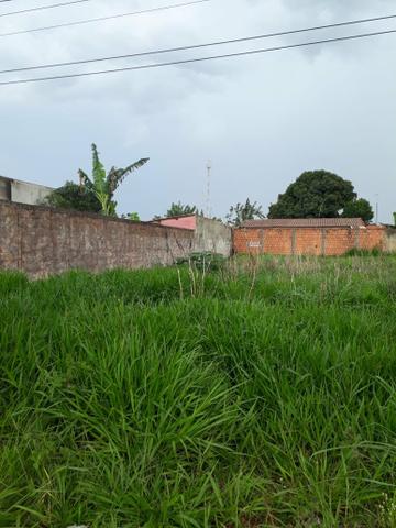 Lote