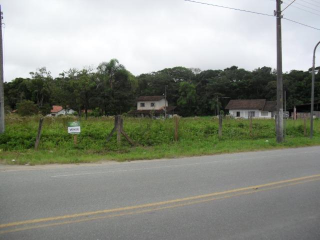 0169 Excelente Terreno de frente para a SC-415, para fins comerciais - Foto 5