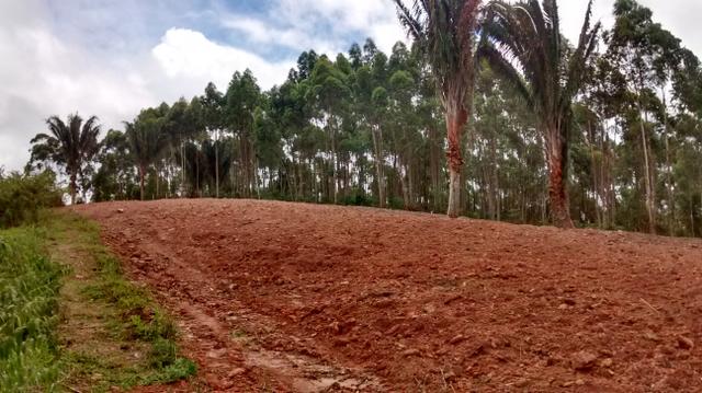 Área circuito caravaggio - Foto 6
