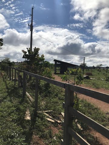 Vendo chácaras em Sinop-MT (Preço de ocasião) - Foto 5