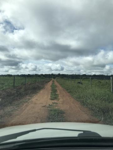Vendo chácaras em Sinop-MT (Preço de ocasião) - Foto 3