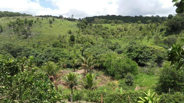 Sítio dos sonhos seu pedaço do Paraíso com 7 hectares por 150 mil - Foto 17