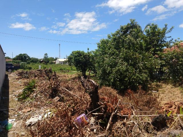 Terreno Próximo ao Porto de Itapoá - Foto 3