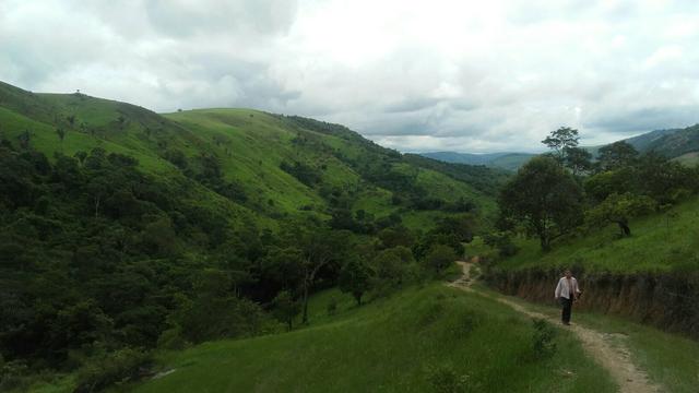 Linda Fazenda em Joaquim Gomes 60 hectares apenas 750 mil - Foto 3
