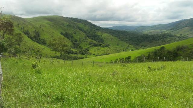 Linda Fazenda em Joaquim Gomes 60 hectares apenas 750 mil - Foto 16