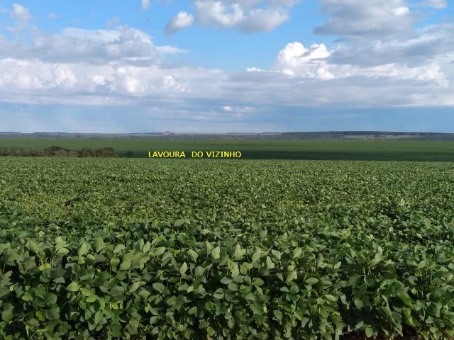 2.253 Há. Alto Garças-MT (Plana ao Lado Lavoura) - Foto 7