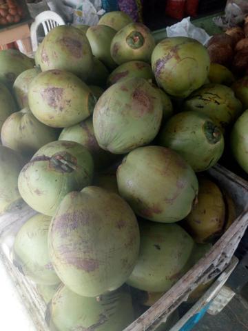 Côco barato