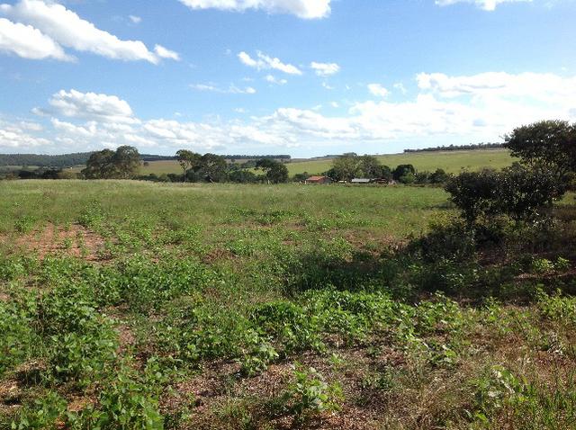 Chácara 3 alqueires e 75 litros,curral,represa,casa,3 alqueires arrendado para planta. - Foto 14