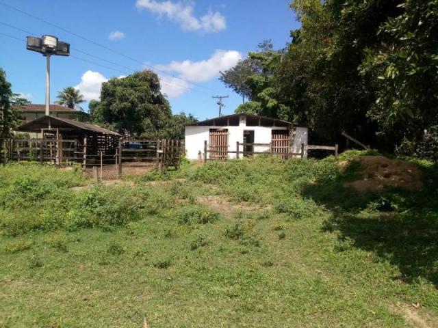 Fazenda para venda em paudalho, guadalajara - Foto 2
