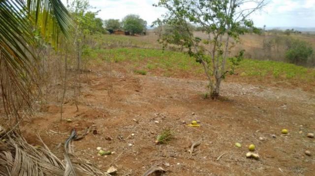 Sítio para venda em lagoa do itaenga, lagoa de itaenga - Foto 5