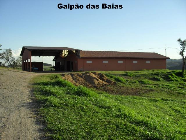 Fazenda com tudo (Casas, lagos, heliporto etc) - Foto 5