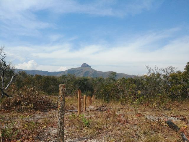 Propriedade Rural com 02 hectares - Foto 6