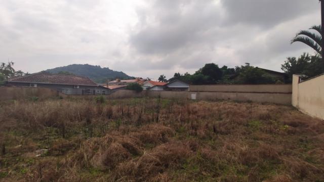 Terreno para alugar com 0 dormitórios em America, Joinville cod:08859.001 - Foto 3