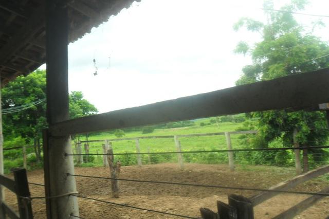 Fazenda 35 alqueires baixo guandu es - Foto 15