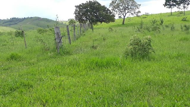 Fazenda Linda - Foto 11