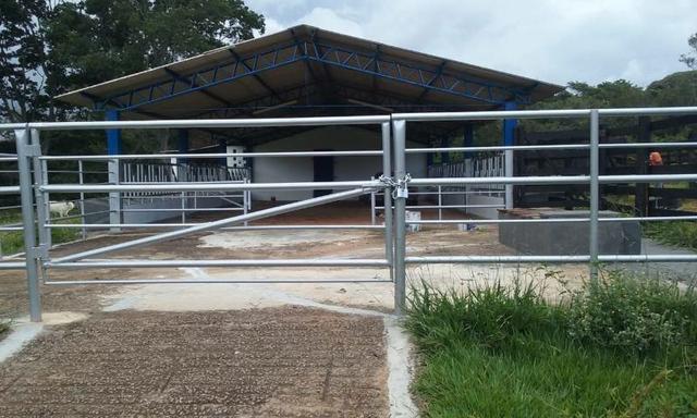 Fazenda - Foto 19