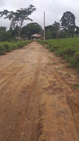 Fazenda - Foto 14