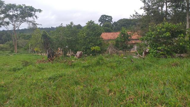 Fazenda - Foto 7