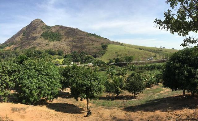 Terreno / Lote em Serra - Foto 5