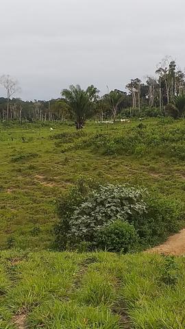 Fazenda - Foto 16