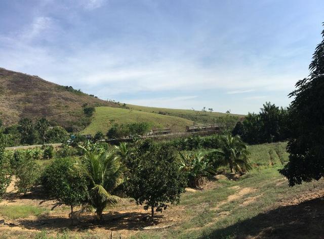 Terreno / Lote em Serra - Foto 3