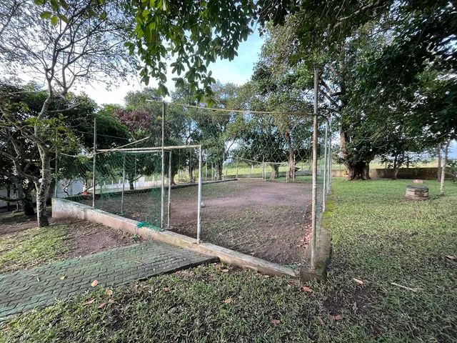 Fazenda/Sítio/Chácara porteira fechada para venda com 8100 metros quadrados em Murici - Ca