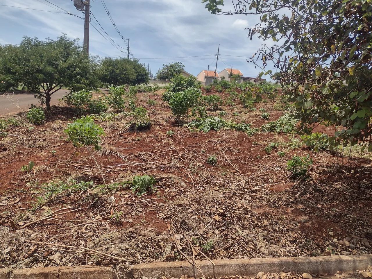 Direito Terreno De Esquina  - Foto 2