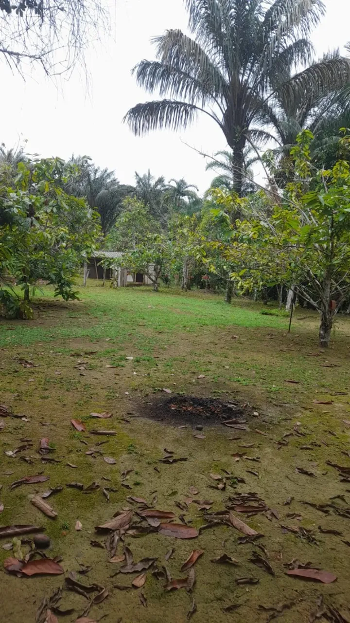 Venda de um Sítio estrada de Balbina -comunidade cristo rei- presidente Figueiredo.