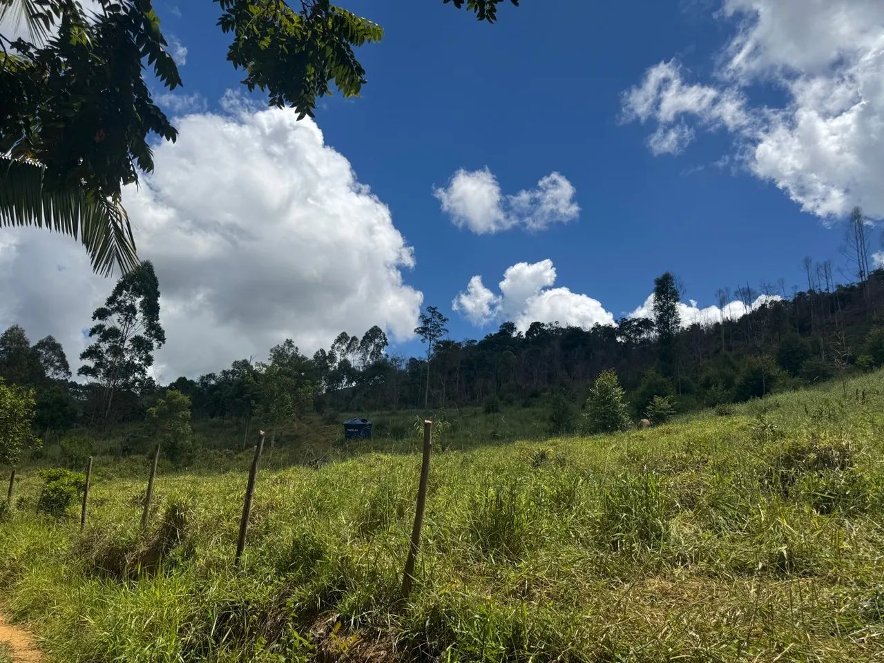 Terreno em área verde com vista espetacular - Foto 3