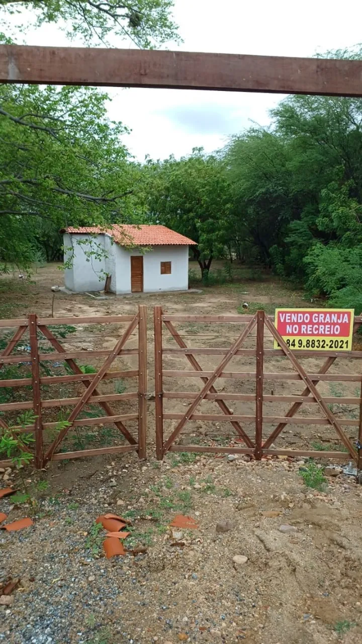 VENDO GRANJA NO VILA DO PRÍNCIPE/RECREIO