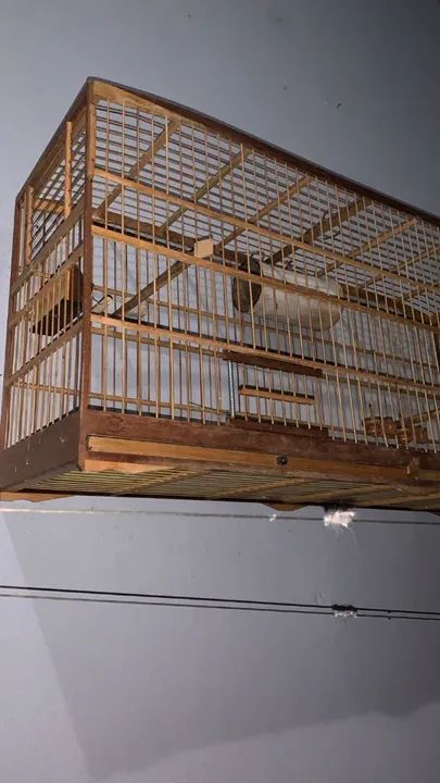 Gaiola para pássaros - Foto 3