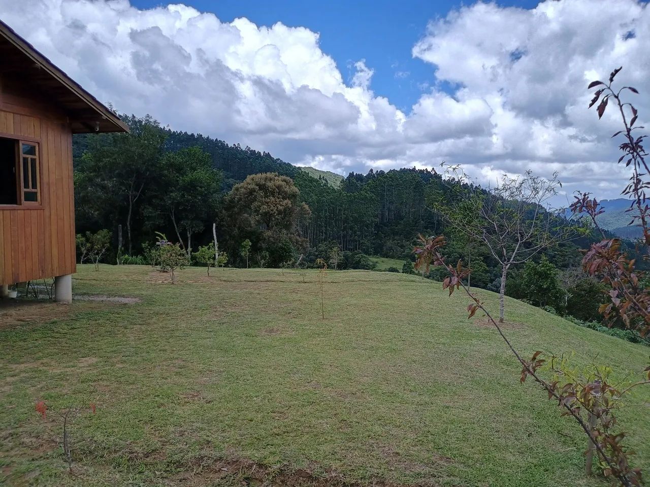 ANITÁPOLIS/SC - Belíssimo Sítio de 15hectares com casa e área verde com vista espetacular! - Foto 5
