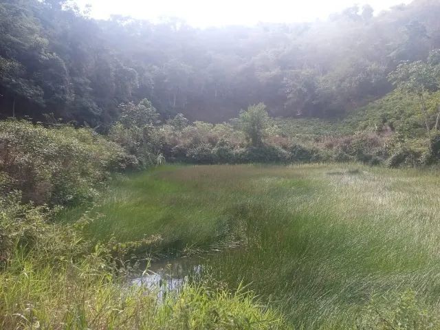 Sitio rural com 350.000 m2 - Foto 2