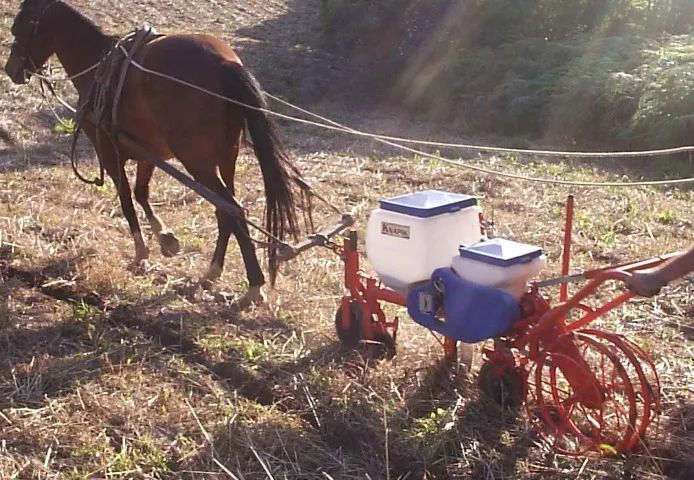 Plantadeira Adubadeira de 1 Linha KNAPIK tração animal