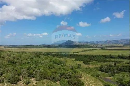 Fazenda à Venda em Anchieta: Área de 29 Alqueires - Foto 3