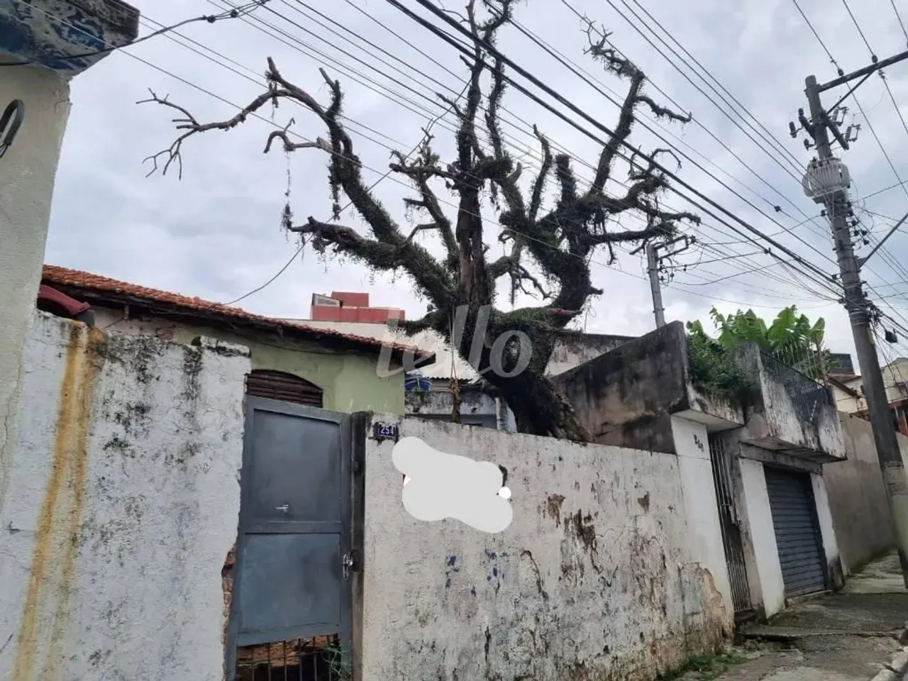 Terreno null quartos à venda no(a) Nova Gerty