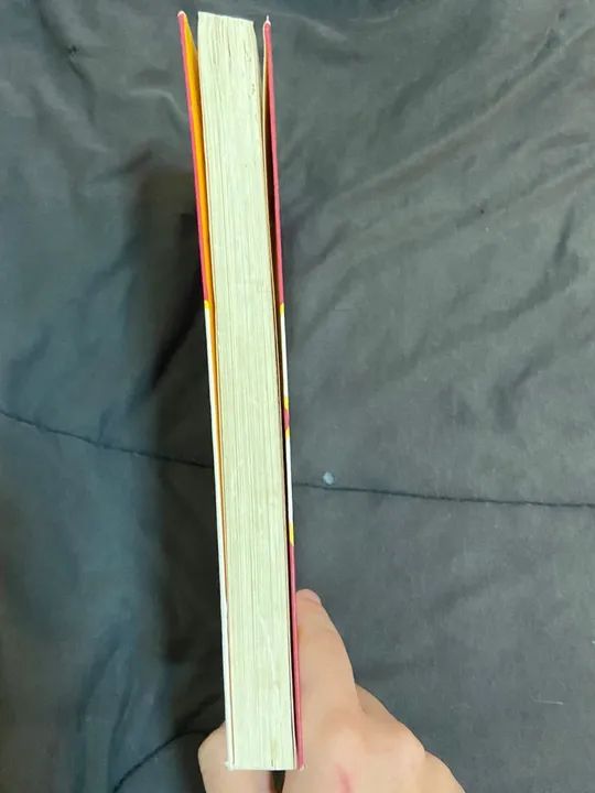 Crianças Francesas Não Fazem Manha - Pamela Druckerman - Foto 3