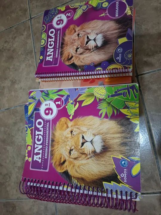 Apostilas Anglo! - Foto 5