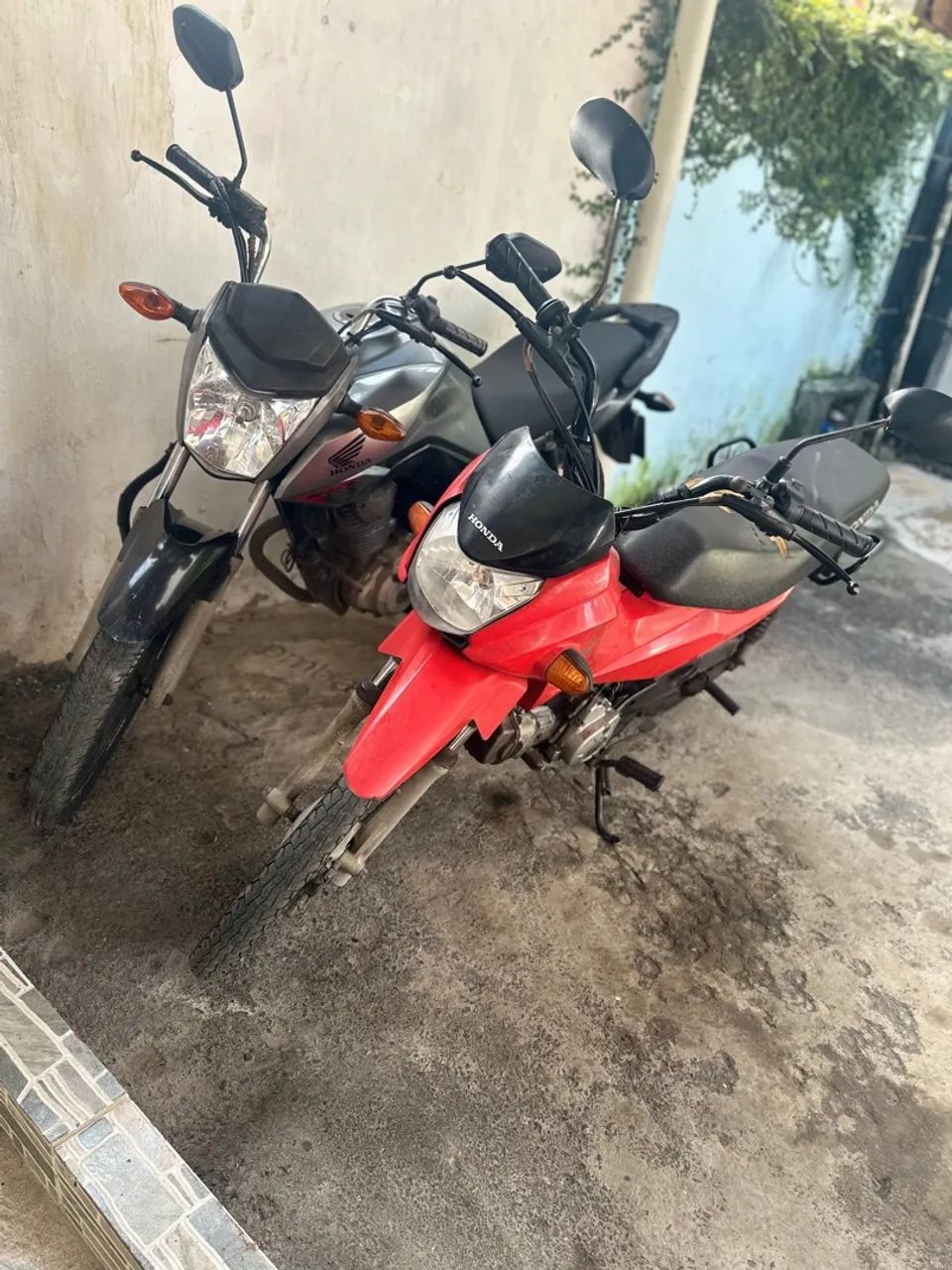 Pop para alugar 220