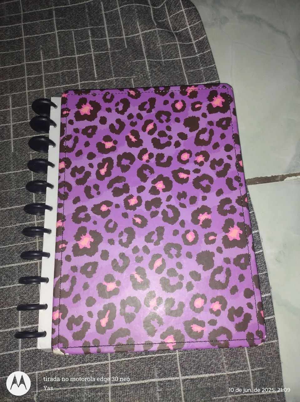 CADERNO INTELIGENTE ONÇA 