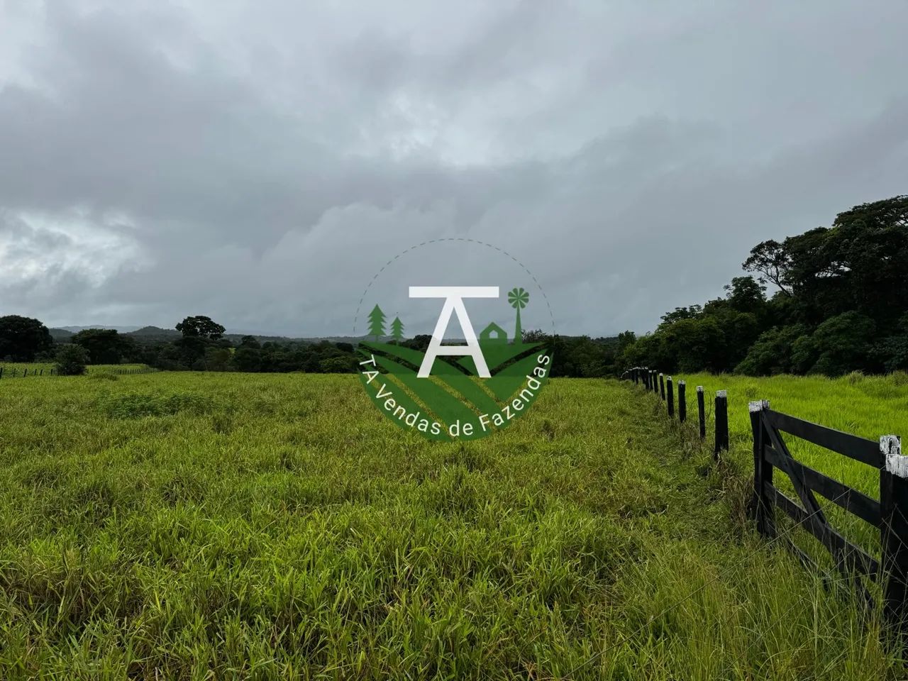 Fazenda de 55 alq em Goias-GO - Foto 4