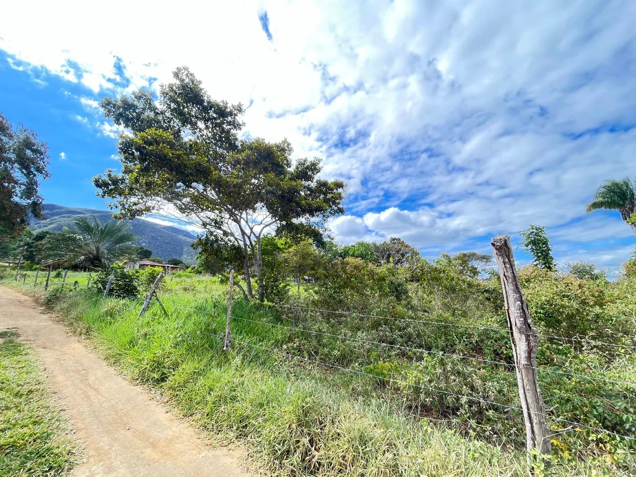 Lote em Itaitu - Piancó - Foto 2
