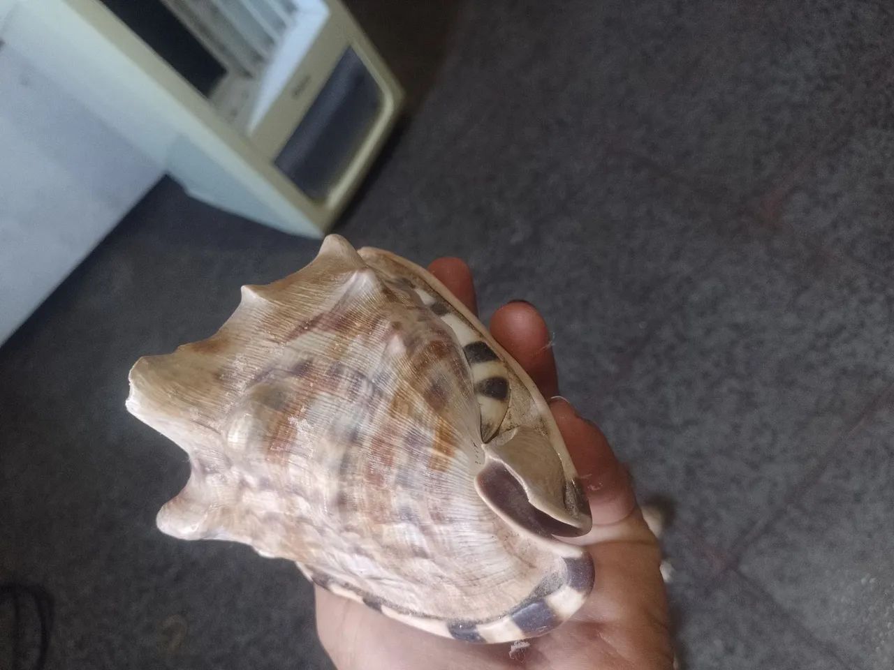 Mar - Foto 5