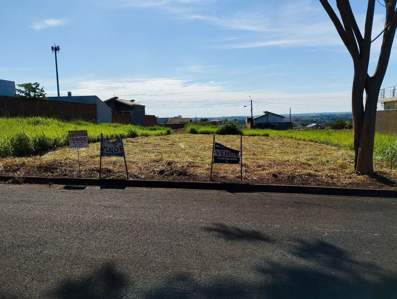 Foto - Olímpia - Jardim Nova Santa Rita