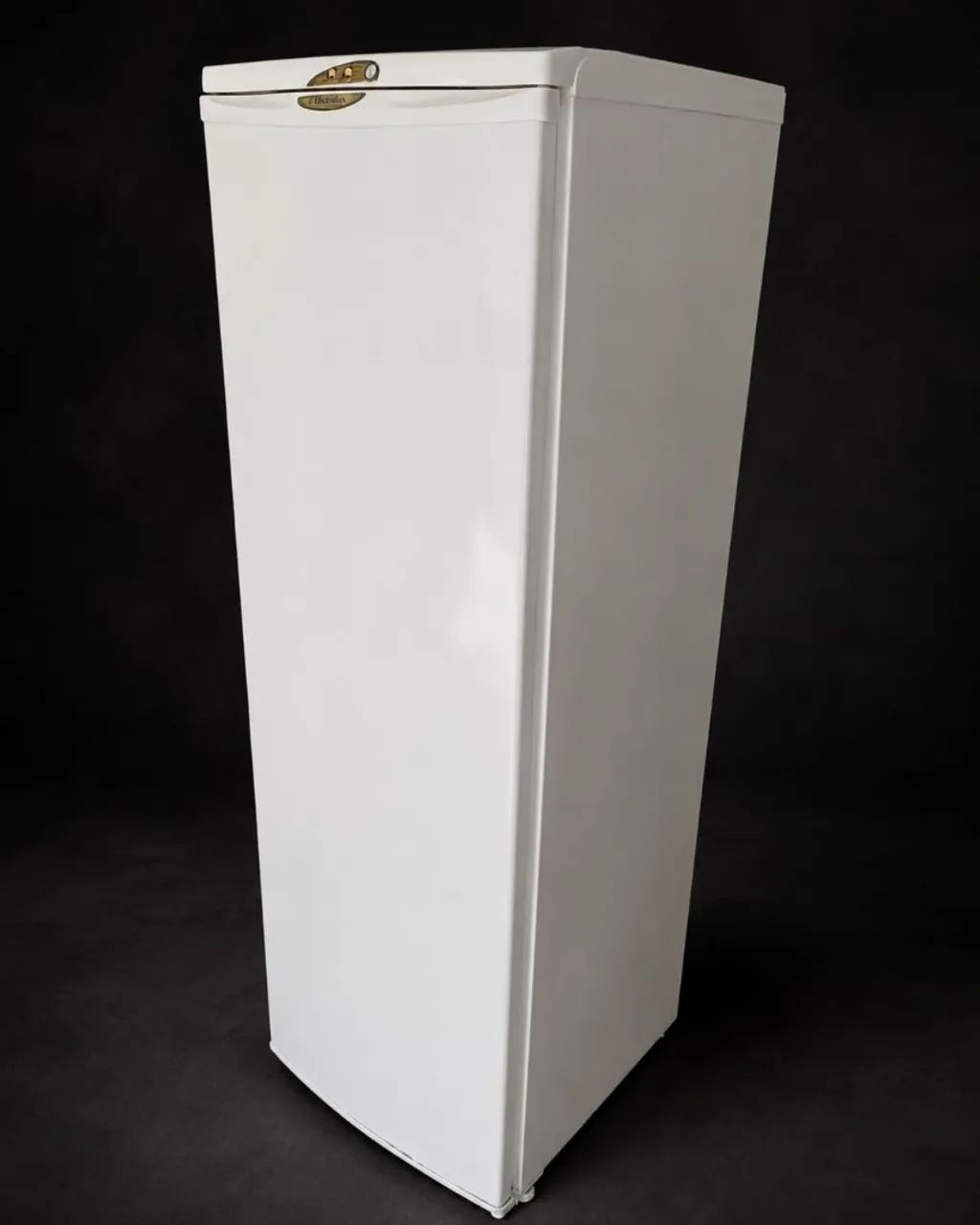 Freezer VERTICAL ELECTROLUX  - Foto 4