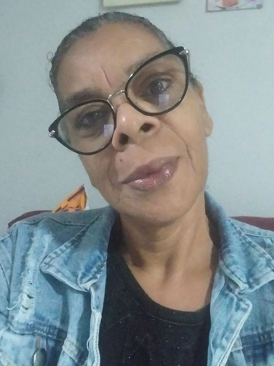 Diarista 
