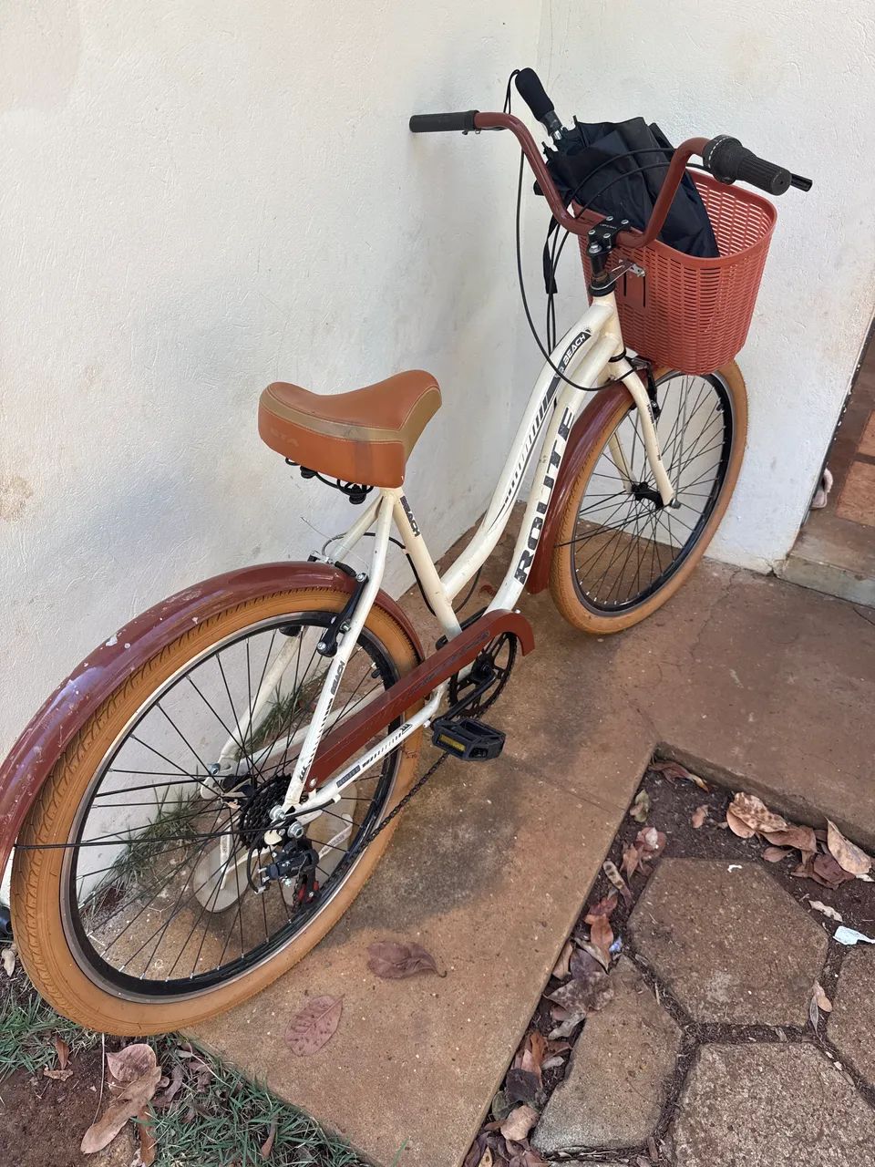 Bicicleta vintage 